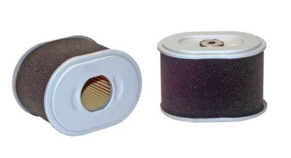 42323