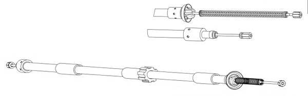 CT02156