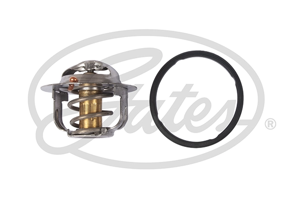 TH52488G1
