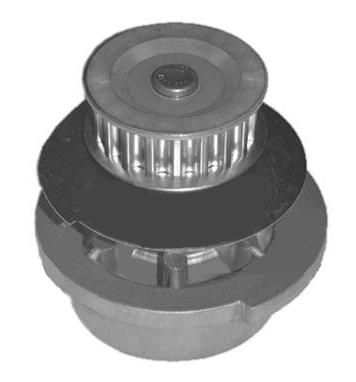 WP10527