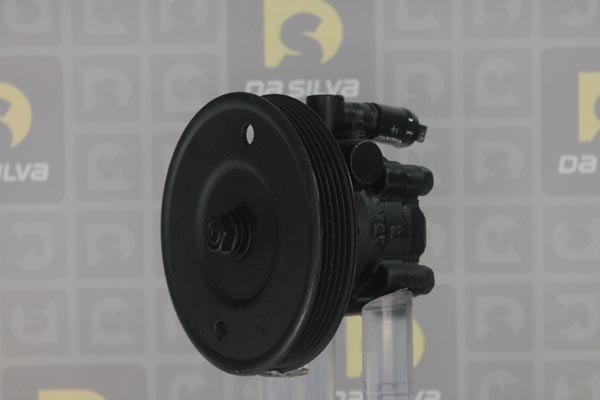 DP2135