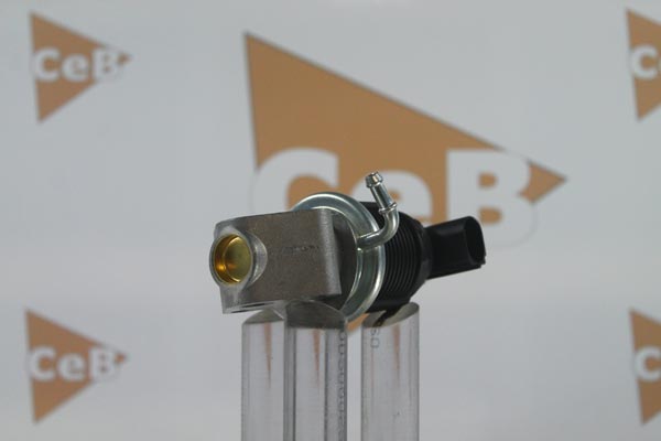 GR6025