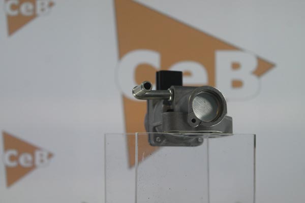 GR6061
