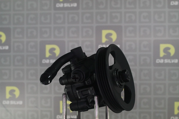 DP3629