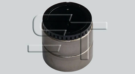 06.090.0991.220