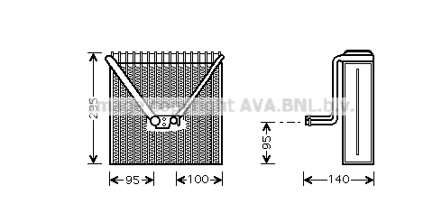 SAV011
