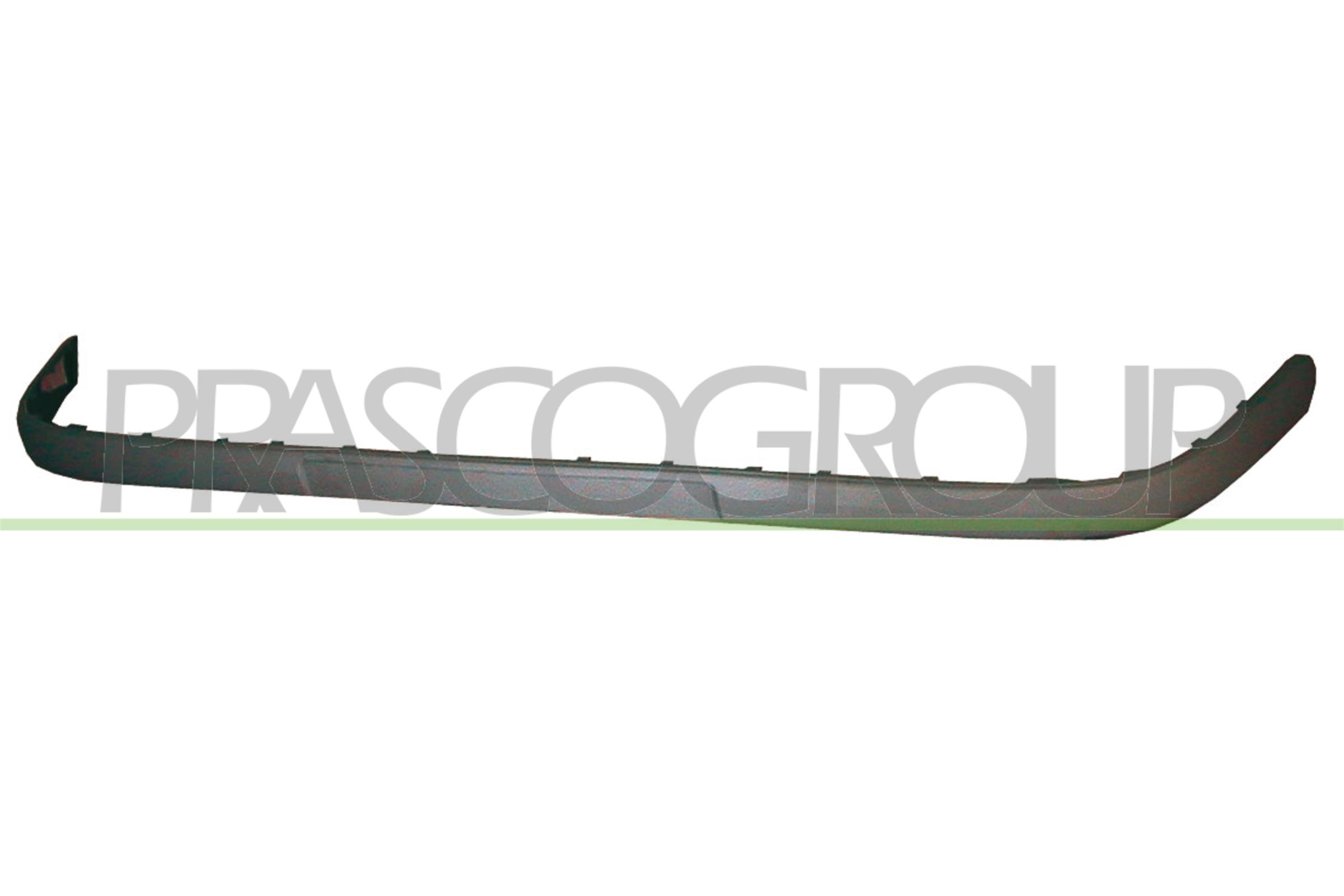 VG0811243