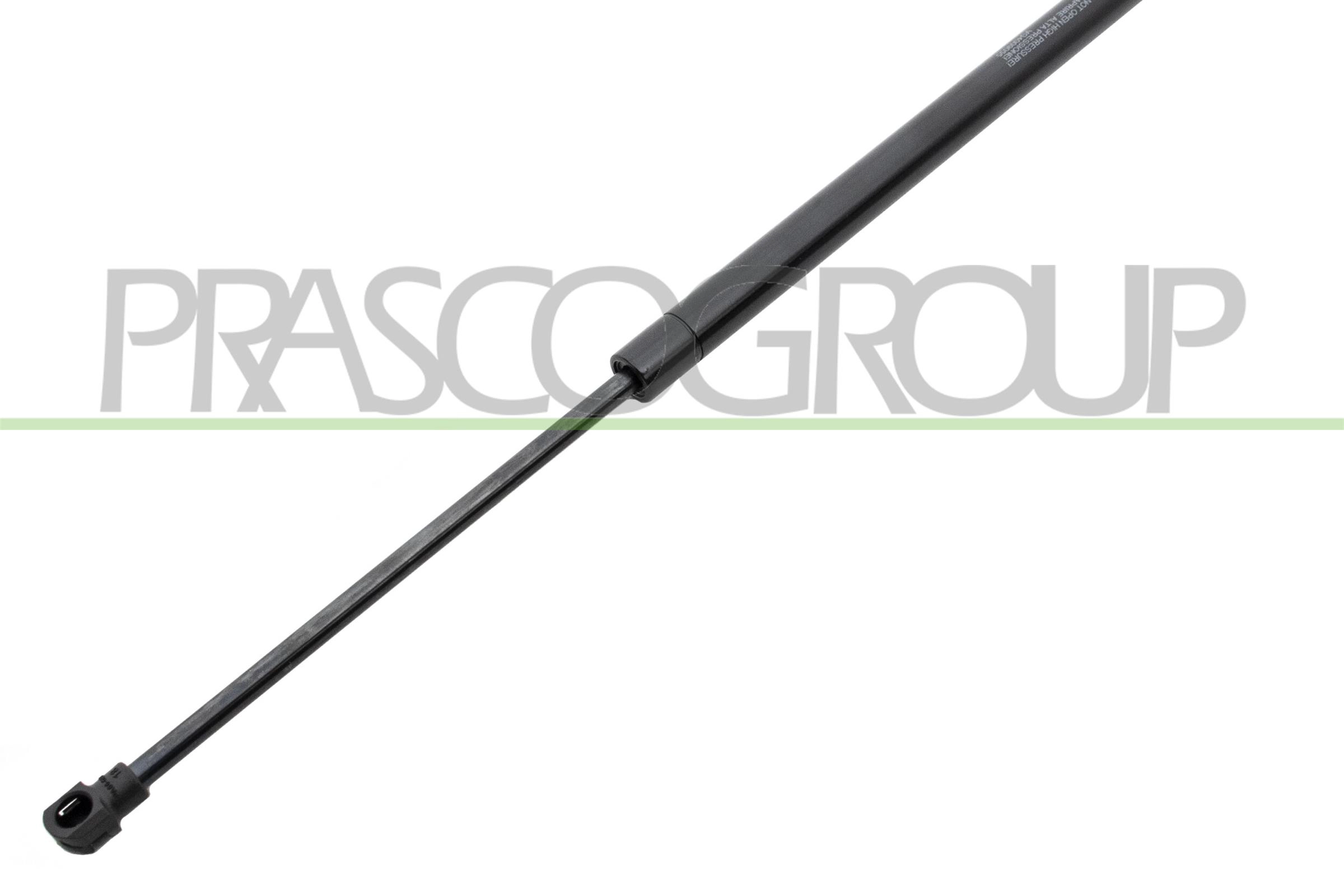 VG4009055