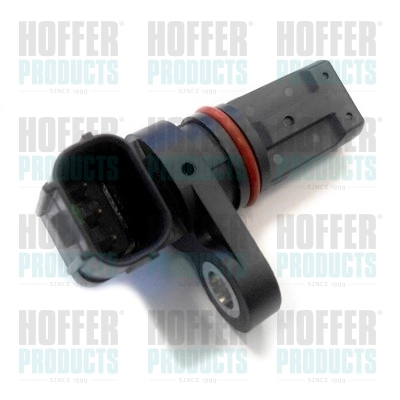7517795