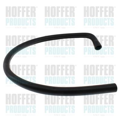 8197137