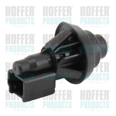 H206135