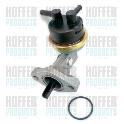 HPON240