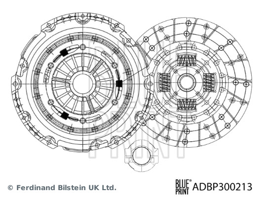 ADBP300213