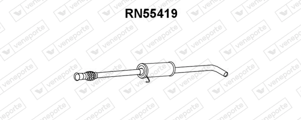 RN55419