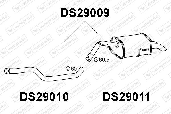 DS29009