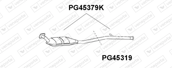 PG45319