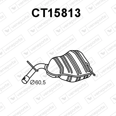 CT15813