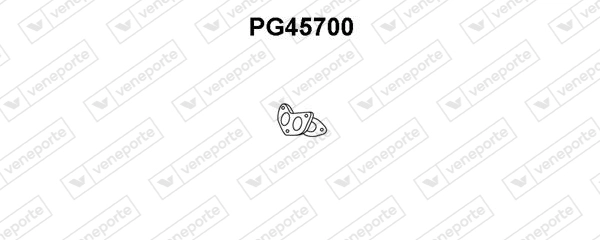 PG45700