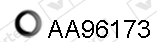 AA96173