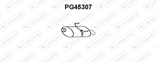 PG45307