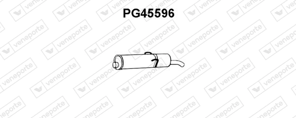 PG45596