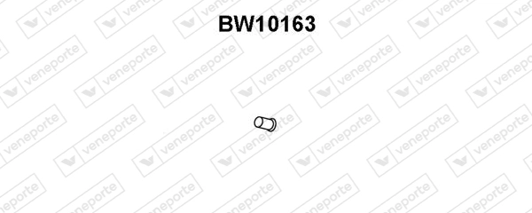 BW10163