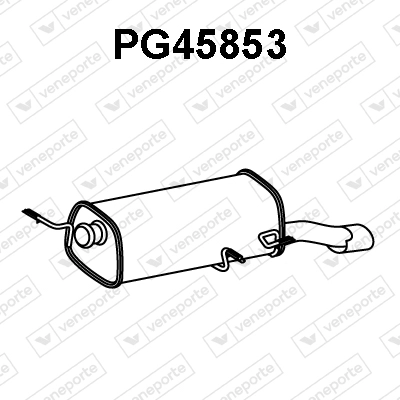 PG45853