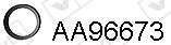 AA96673