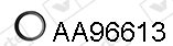 AA96613