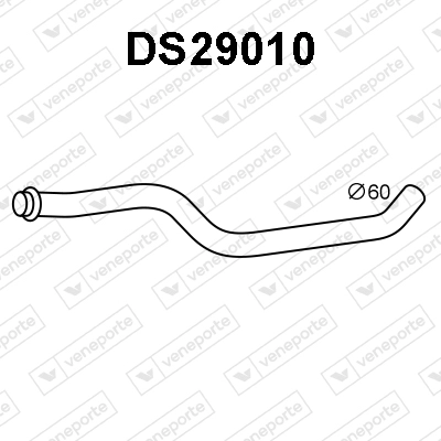DS29010