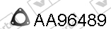 AA96489