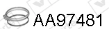 AA97481