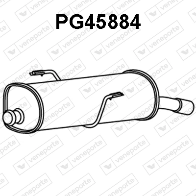 PG45884
