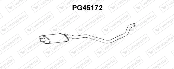 PG45172