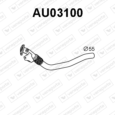 AU03100