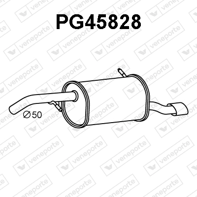 PG45828