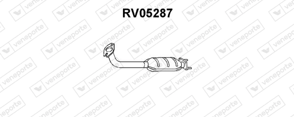 RV05287