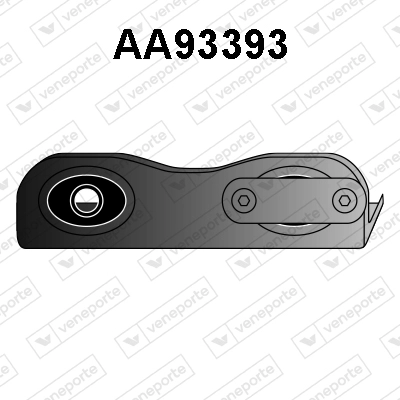 AA93393