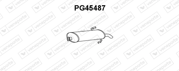 PG45487