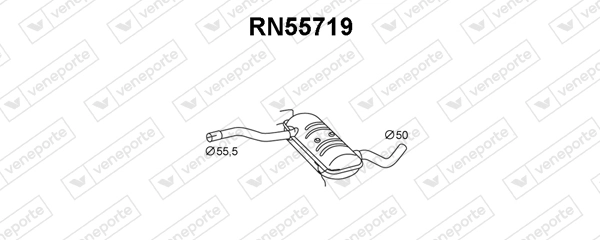 RN55719