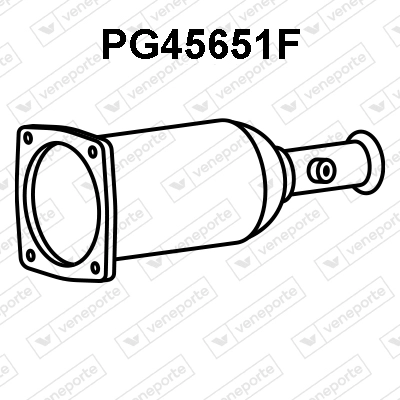 PG45651F