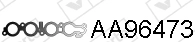 AA96473