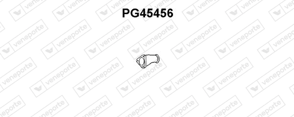 PG45456