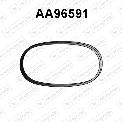 AA96591