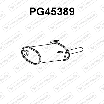 PG45389