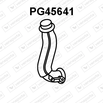 PG45641