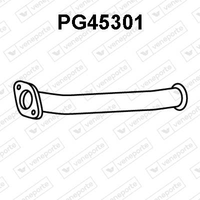PG45301