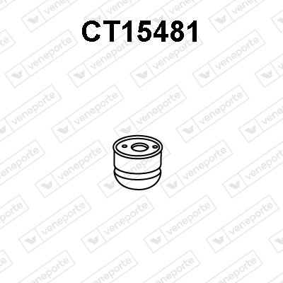 CT15481
