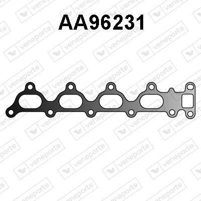 AA96231