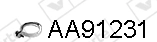 AA91231